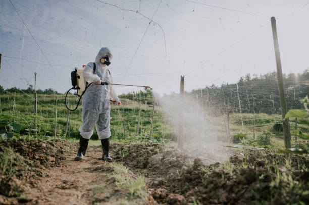 Best Best Pest Control Companies  in Ogdensburg, NJ