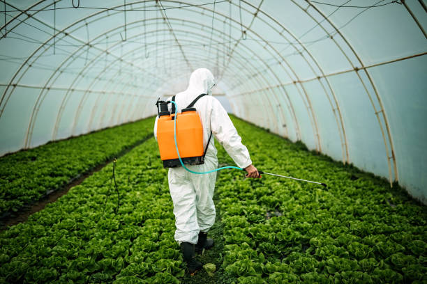 Pest Prevention Services in Ogdensburg, NJ