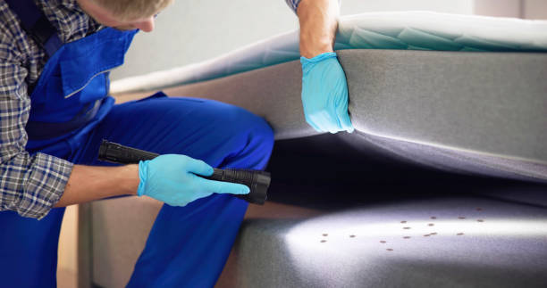 Best Insect Control  in Ogdensburg, NJ