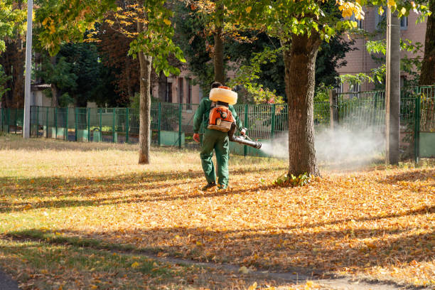 Best Affordable Pest Control Services  in Ogdensburg, NJ