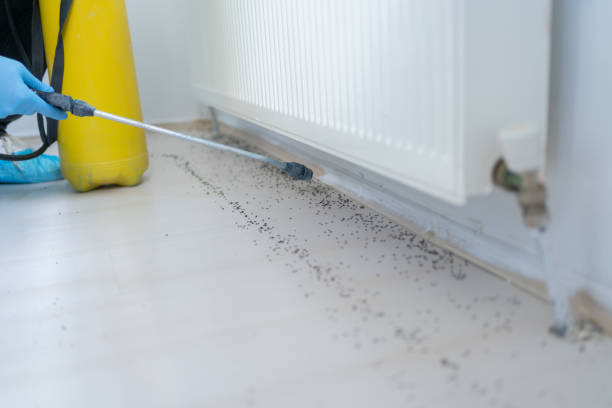 Best Cockroach Control Services  in Ogdensburg, NJ