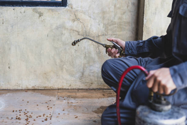 Best Pest Control for Businesses  in Ogdensburg, NJ