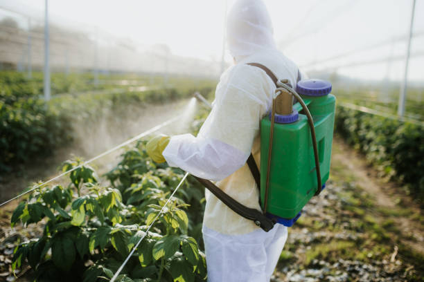 Best Rat Extermination Near Me  in Ogdensburg, NJ